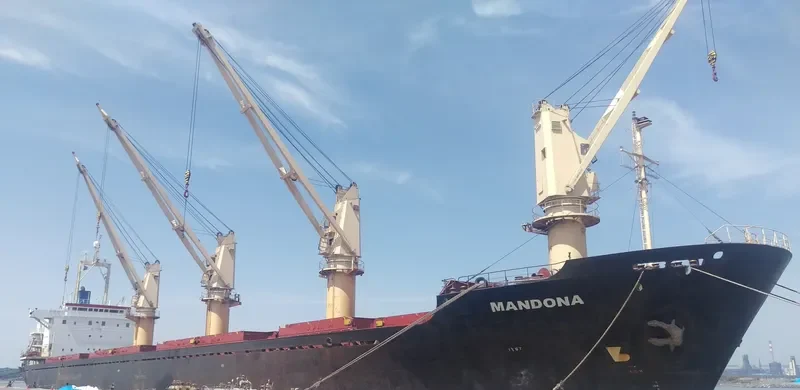 BAO LONG Bulk Carrier IMO 9107033 photo 4