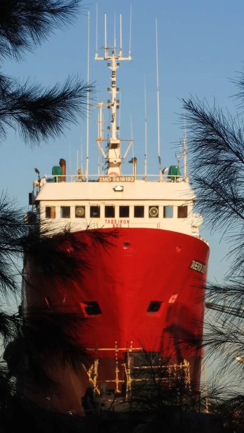 DUKAT General Cargo IMO 9107186 photo 3