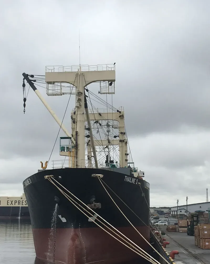 FRIEND 3 General Cargo IMO 9107253 photo 2