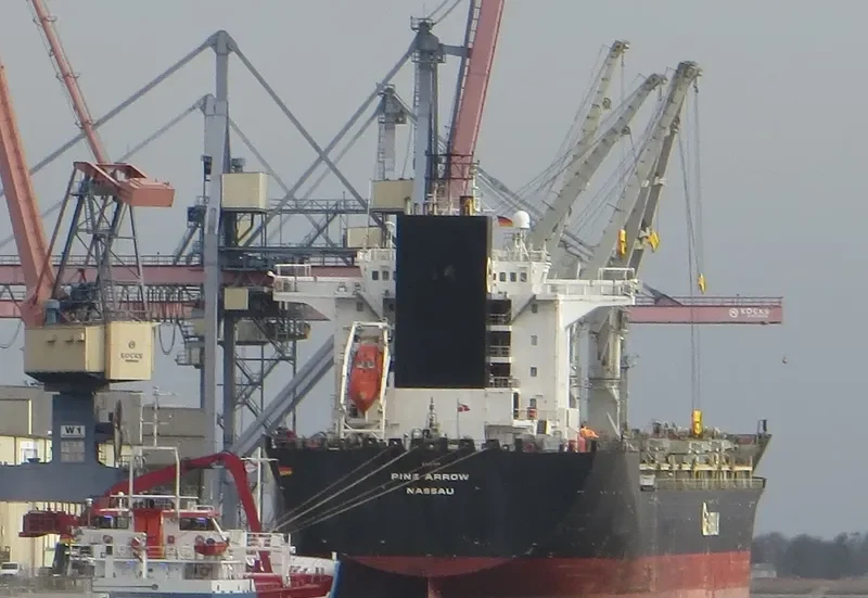 PINE ARROW General Cargo IMO 9107306 photo 2