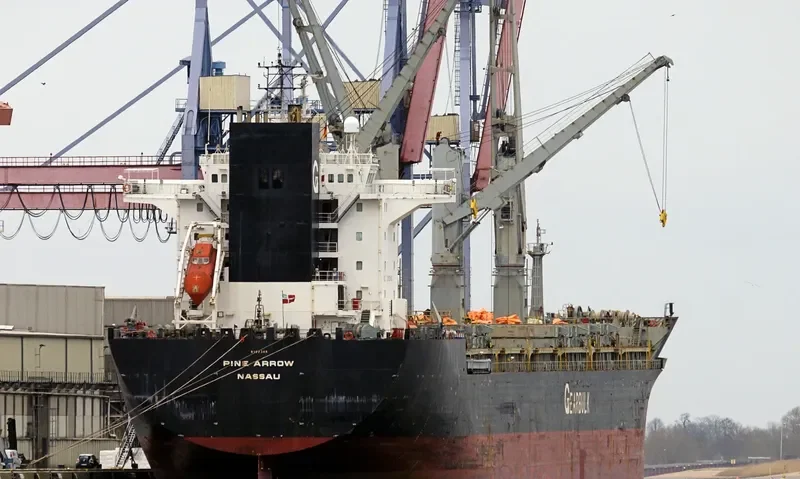 PINE ARROW General Cargo IMO 9107306 photo 4