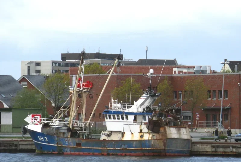STELLA POLARIS General Cargo IMO 9107605 photo 8