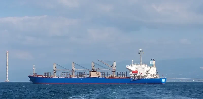 CAN YUCEL Bulk Carrier IMO 9107899 photo 8