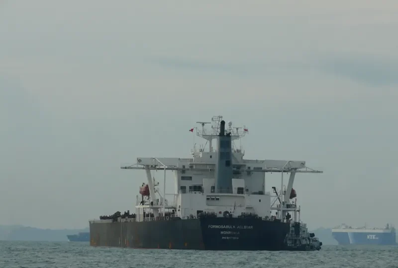 MAMITSA XL Bulk Carrier IMO 9107904 photo 33