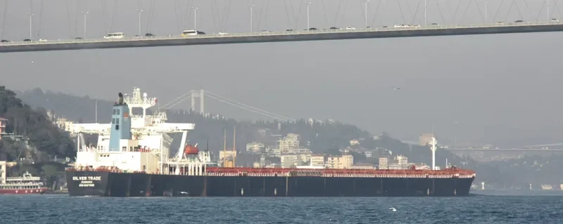SILVER TRADE Bulk Carrier IMO 9107916 photo 3