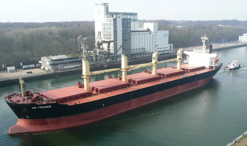 U WIN Bulk Carrier IMO 9108116 photo 8