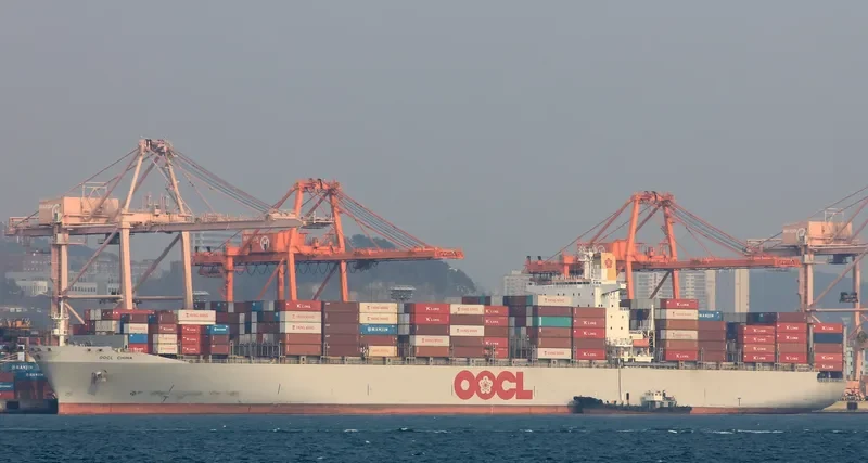 BOX CHINA Container Ship IMO 9108178 photo 8