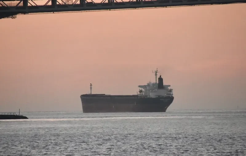 DENAK VOYAGER Bulk Carrier IMO 9108257 photo 3