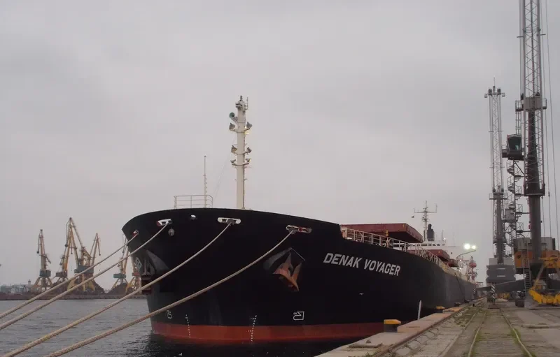 DENAK VOYAGER Bulk Carrier IMO 9108257 photo 8