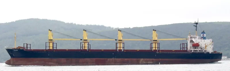 ALLIANCE Bulk Carrier IMO 9108271