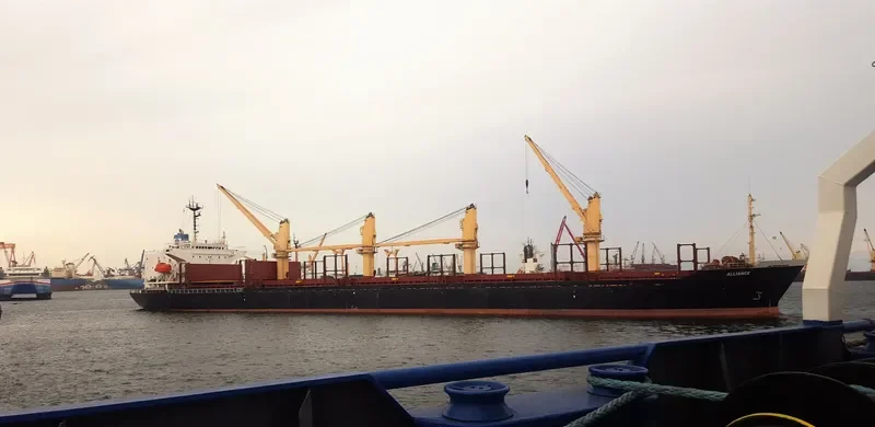 ALLIANCE Bulk Carrier IMO 9108271 photo 2