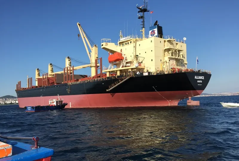 ALLIANCE Bulk Carrier IMO 9108271 photo 3