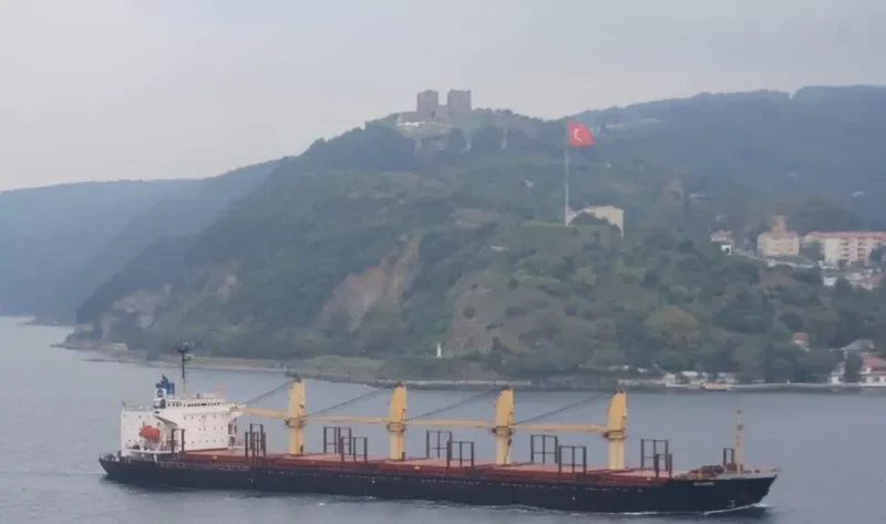 ALLIANCE Bulk Carrier IMO 9108271 photo 6
