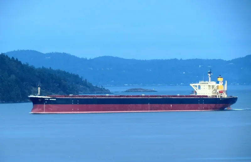 NEW LEON Bulk Carrier IMO 9108283 photo 4