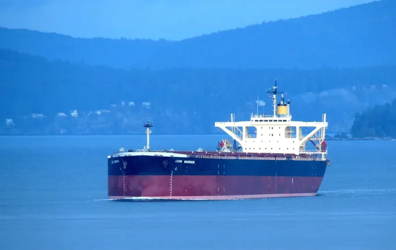 NEW LEON Bulk Carrier IMO 9108283 photo 5