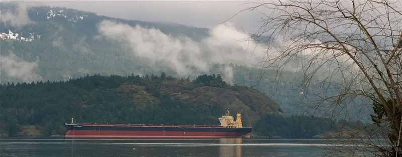 NEW LEON Bulk Carrier IMO 9108283 photo 8