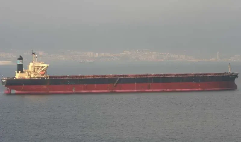 NEW LEON Bulk Carrier IMO 9108283 photo 10