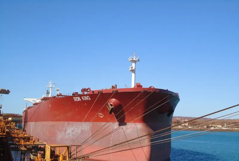 IRON KING Bulk Carrier IMO 9108300 photo 6