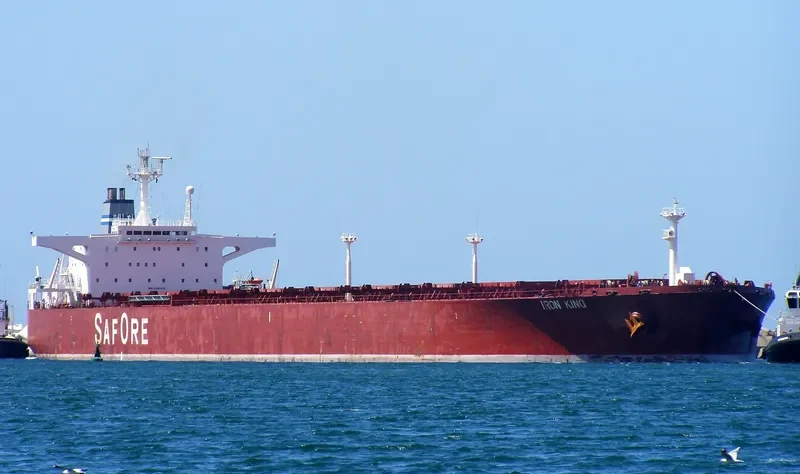IRON KING Bulk Carrier IMO 9108300 photo 9