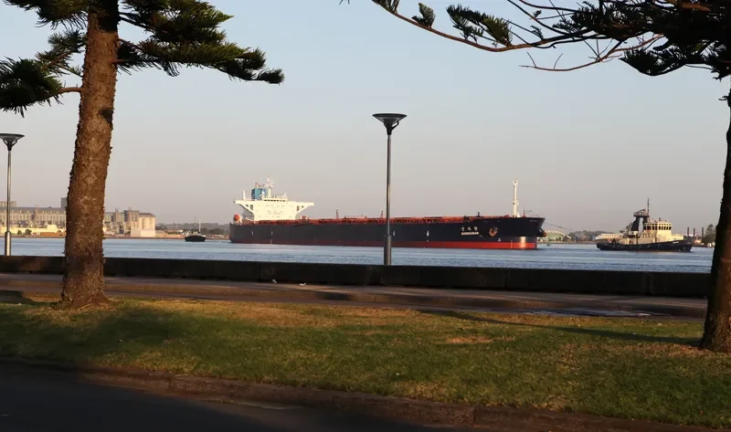 GOONZARAN Bulk Carrier IMO 9108673