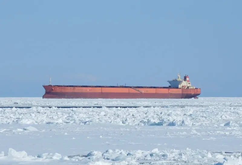 OCEAN MASTER Bulk Carrier IMO 9108685