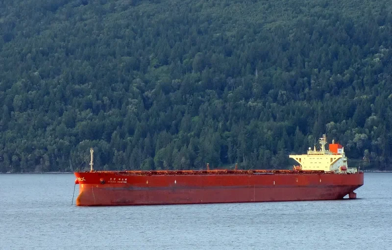 OCEAN MASTER Bulk Carrier IMO 9108685 photo 6