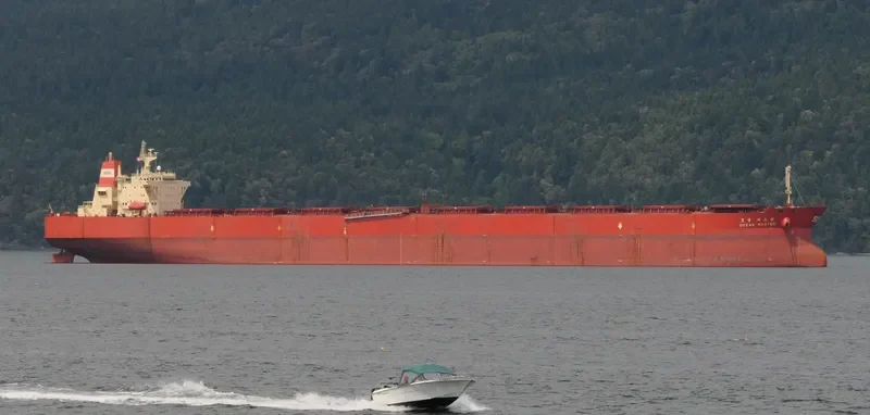 OCEAN MASTER Bulk Carrier IMO 9108685 photo 7