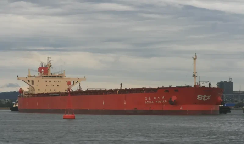 OCEAN MASTER Bulk Carrier IMO 9108685 photo 8