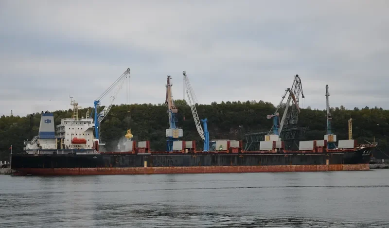 WU LING SHAN Bulk Carrier IMO 9108910
