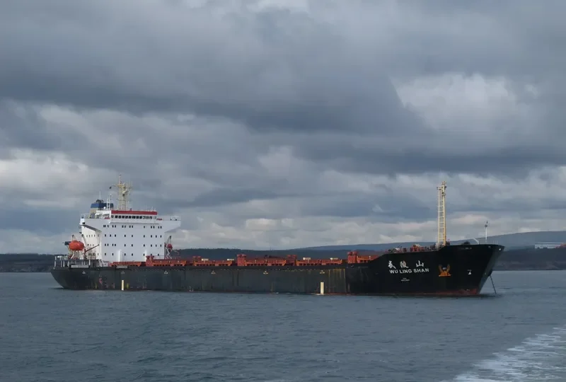 WU LING SHAN Bulk Carrier IMO 9108910 photo 4