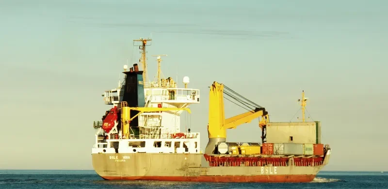 BSLE NINA Container Ship IMO 9109108