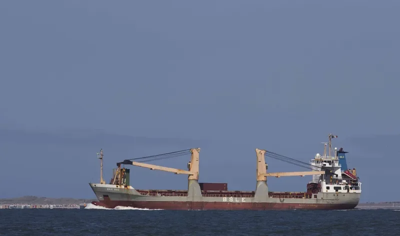 BSLE NINA Container Ship IMO 9109108 photo 5