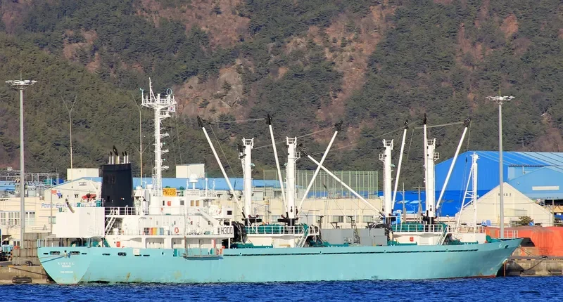 BAO WIN General Cargo IMO 9109263