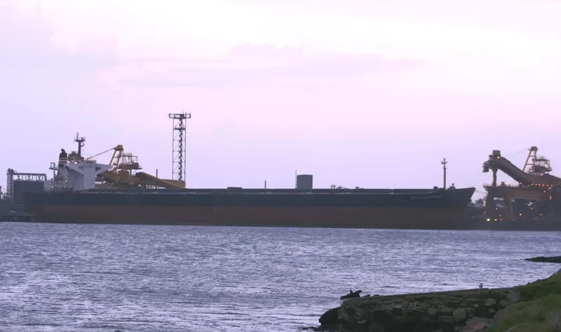 STELLAR FORTUNE Bulk Carrier IMO 9109380 photo 2