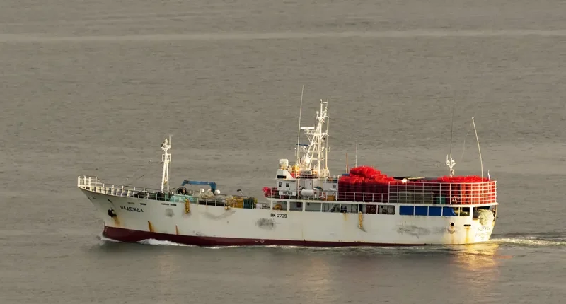 NADEZHDA General Cargo IMO 9109445 photo 6