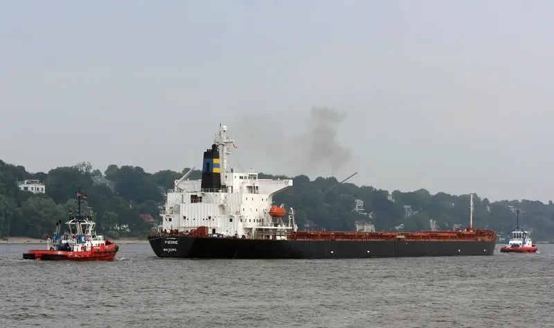 RICHMOND Bulk Carrier IMO 9109483 photo 2