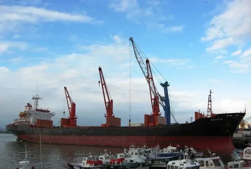 U THAR Bulk Carrier IMO 9109524 photo 7