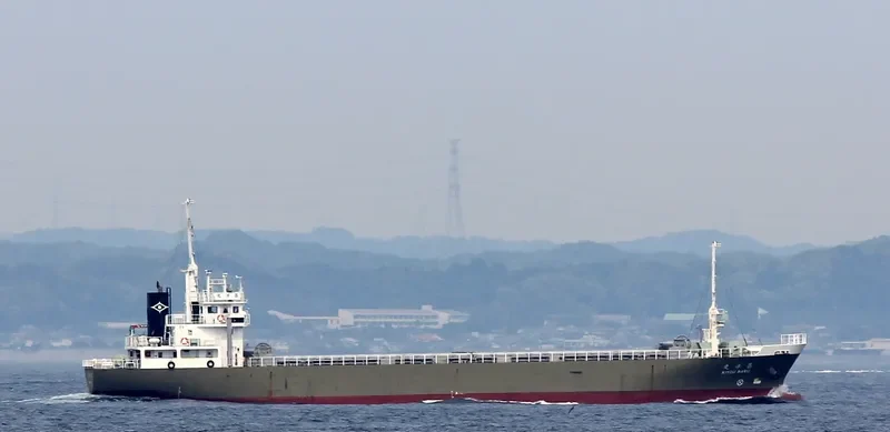 DUANE 6 General Cargo IMO 9109562