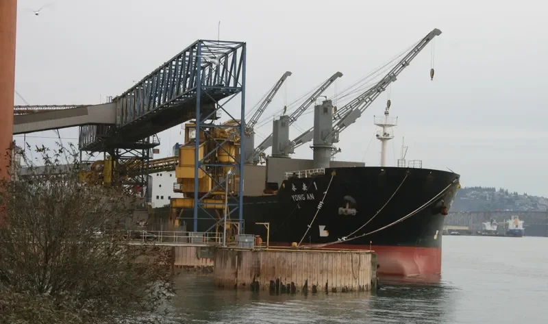 YONG AN 1 Bulk Carrier IMO 9109706 photo 3