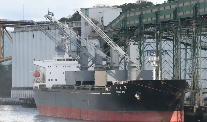 YONG AN 3 Bulk Carrier IMO 9109720