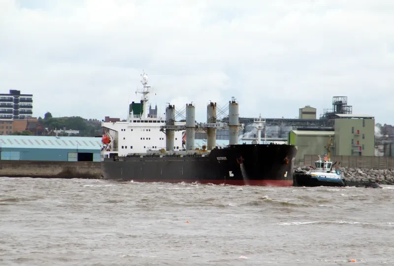 RESTORER Bulk Carrier IMO 9109732 photo 7