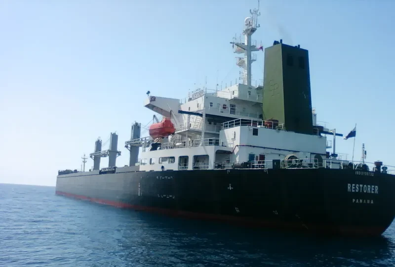 RESTORER Bulk Carrier IMO 9109732 photo 10