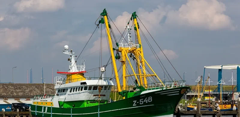 FLAMINGO General Cargo IMO 9109794