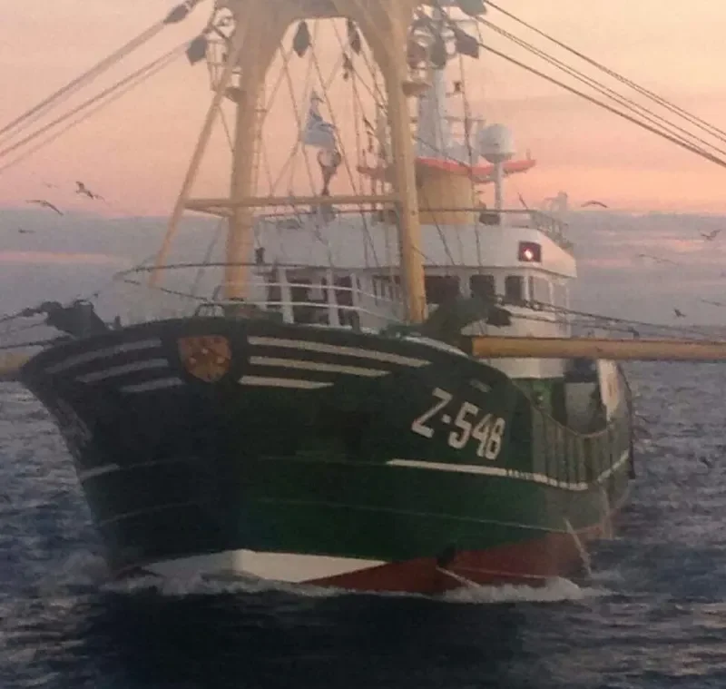 FLAMINGO General Cargo IMO 9109794 photo 3