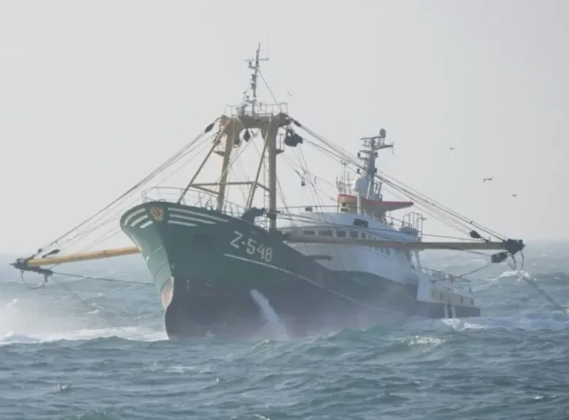FLAMINGO General Cargo IMO 9109794 photo 5
