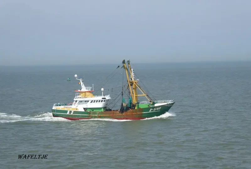 FLAMINGO General Cargo IMO 9109794 photo 8