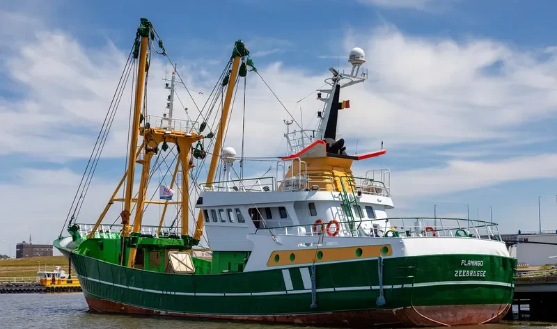 FLAMINGO General Cargo IMO 9109794 photo 10