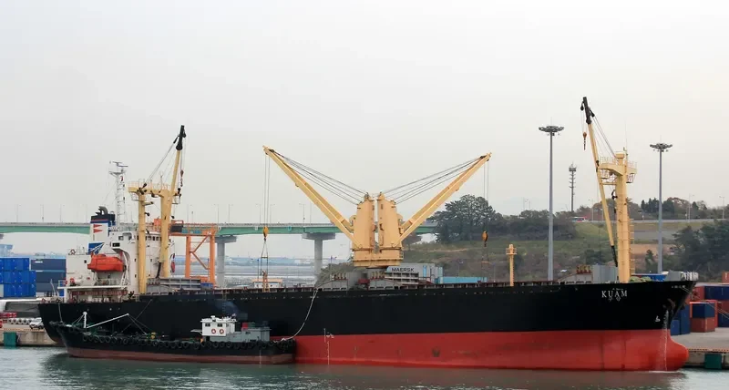 JASMIN QUEEN General Cargo IMO 9109861 photo 9