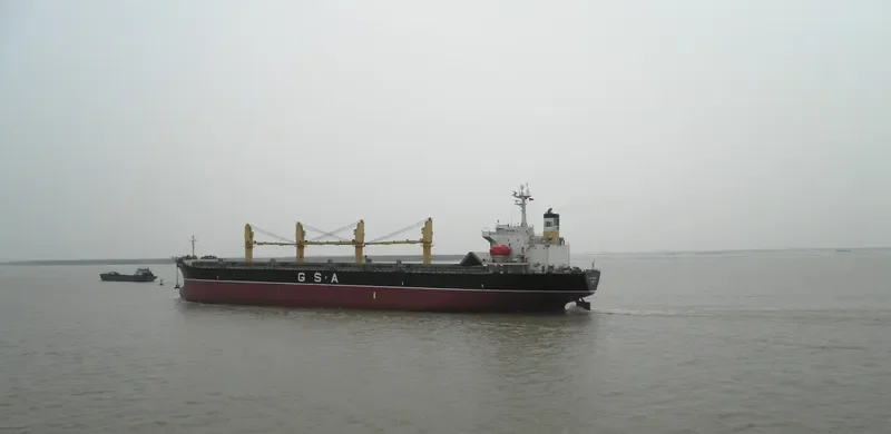 ALBY MELODY Bulk Carrier IMO 9109902 photo 4