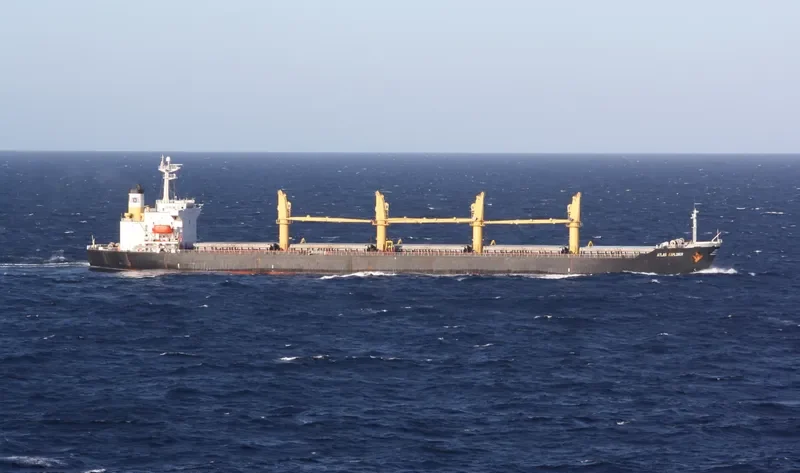 ALBY MELODY Bulk Carrier IMO 9109902 photo 5